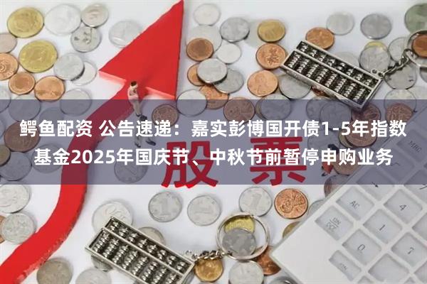 鳄鱼配资 公告速递：嘉实彭博国开债1-5年指数基金2025年国庆节、中秋节前暂停申购业务